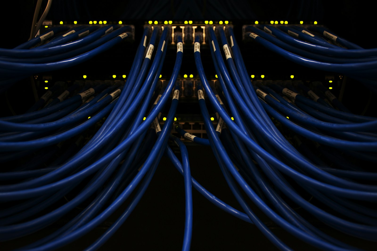Blue network cables running into a rack